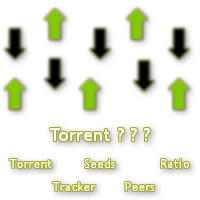 1 Torrent Nedir ? Torrent Ne İşe Yarar ?